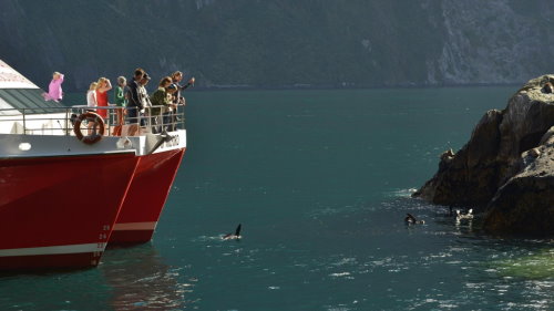 Milford Sound Coach & Cruise Day Trip